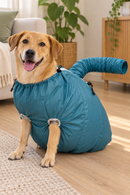 Cão vestindo o Secador Sacola AirDry Pet