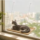 Gato relaxando na Cama Suspensa de Janela SolCat