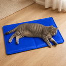 Gato relaxado deitado no Tapete Gelado IcePet
