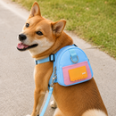 Cachorro passeando com a Mochila TrilhaPet