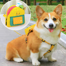 Cachorro usando a Mochila TrilhaPet no passeio