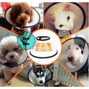 Colar Elizabetano Pós Cirúrgico Para Cachorro Gato Proteção Para Evitar Mordida E Lamber Feridas LR-0134