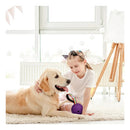 Dispensador de Comida MeteoroBall™ — Transforme a Hora do Petisco em uma Missão Divertida ☄️🐾