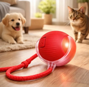 Brinquedo Interativo PetPlay Turbo™ - Seu Sofá NÃO Precisa ser o Brinquedo Favorito do seu Gato 🟢🐱
