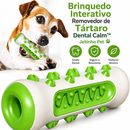 Brinquedo Interativo Removedor de Tártaro Dental Calm™-Saúde Bucal+Alívio da Ansiedade num só produto 🎾🦷