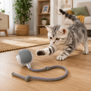 Brinquedo Interativo PetPlay Turbo™ - Seu Sofá NÃO Precisa ser o Brinquedo Favorito do seu Gato 🟢🐱