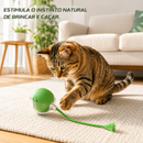 Brinquedo Interativo PetPlay Turbo™ - Seu Sofá NÃO Precisa ser o Brinquedo Favorito do seu Gato 🟢🐱