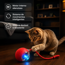 Brinquedo Interativo PetPlay Turbo™ - Seu Sofá NÃO Precisa ser o Brinquedo Favorito do seu Gato 🟢🐱