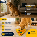 Tapete Olfativo Pizza Divertida™ - Alimentação Lenta e Alívio da Ansiedade Para Cães 👃🍕