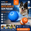 Bola Interativa PetPlay 360™ - A Bolinha que Prende a Atenção do Seu Pet 🟠🔵
