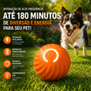 Bola Interativa PetPlay 360™ - A Bolinha que Prende a Atenção do Seu Pet 🟠🔵