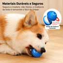 Bola Interativa PetPlay 360™ - A Bolinha que Prende a Atenção do Seu Pet 🟠🔵