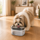 Bebedouro Inteligente Antirrespingo PeloSeco Pro™ -Hidratação que Mantém Pet Sempre Sequinho 💧🐾