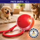 Brinquedo Interativo PetPlay Turbo™ - Seu Sofá NÃO Precisa ser o Brinquedo Favorito do seu Gato 🟢🐱