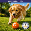 Bola Interativa PetPlay 360™ - A Bolinha que Prende a Atenção do Seu Pet 🟠🔵
