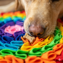 Tapete Olfativo ArcoÍris™ - Alimentação Lenta e Alívio da Ansiedade Para Cães 👃🌈