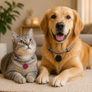 Coleira Personalizada Meu Pet™ – Mantenha Seu Pet Identificado com Muito Estilo e Segurança 🏷️🐾