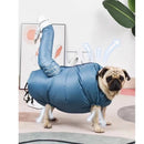 Secador Sacola para Cães AirDry Pet: Seque seu Pet em Minutos, sem Estresse 🐶💨