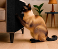 Arranhador de Gato com Carpete Autoadesivo