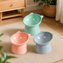 Comedouro e Bebedouro Elevado ConfortPet™ - Anti-Engasgo para Cães e Gatos 🥣 💧
