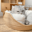 Cama Artesanal de Bambu Elegance™  - Elegância Para sua Casa, Conforto Para o seu Pet 🛏️✨