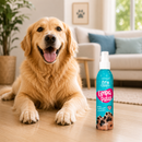 Limpa Patas Spray Pet Clean - Voltou do Passeio? É Hora de Cuidar das Patinhas do Seu Pet 🏡🐶