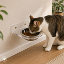 Comedouro e Bebedouro de Inox ElevaPet| Suspenso de Parede | Individual ou Duplo