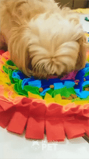 Tapete Olfativo ArcoÍris™ - Alimentação Lenta e Alívio da Ansiedade Para Cães 👃🌈