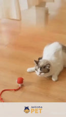 Brinquedo Interativo PetPlay Turbo™ - Seu Sofá NÃO Precisa ser o Brinquedo Favorito do seu Gato 🟢🐱