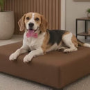 Cama Box Pet CochiBox: Estrutura Firme e Conforto Premium para o Sono do seu Pet 🐾🛋️