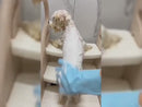 Luva de Limpeza PraticPet™ – Eliminação de Pelos e Sujeira num só produto 🛁🐶