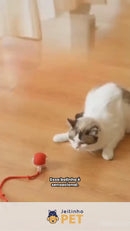 Brinquedo Interativo PetPlay Turbo - Seu Sofá NÃO Precisa ser o Brinquedo Favorito do seu Gato 🟢🐱