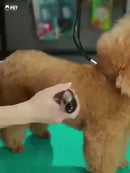 Kit TosaFácil  - Máquina de Tosar Pet Profissional ✂️🐾