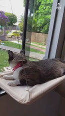 Cama Suspensa de Janela SolCat: Sol, Vista e Conforto na hora da Soneca do Seu Felino☀️🐾