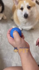 Bola Interativa PetPlay 360™ - A Bolinha que Prende a Atenção do Seu Pet 🟠🔵
