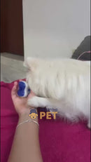 Brinquedo Interativo Removedor de Tártaro Dental Calm™-Saúde Bucal+Alívio da Ansiedade num só produto 🎾🦷