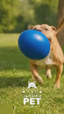 Bola Ovo Fujão – Brinquedo para Mordidas Fortes 🐾🥚